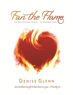 Fan the Flame Book Cover