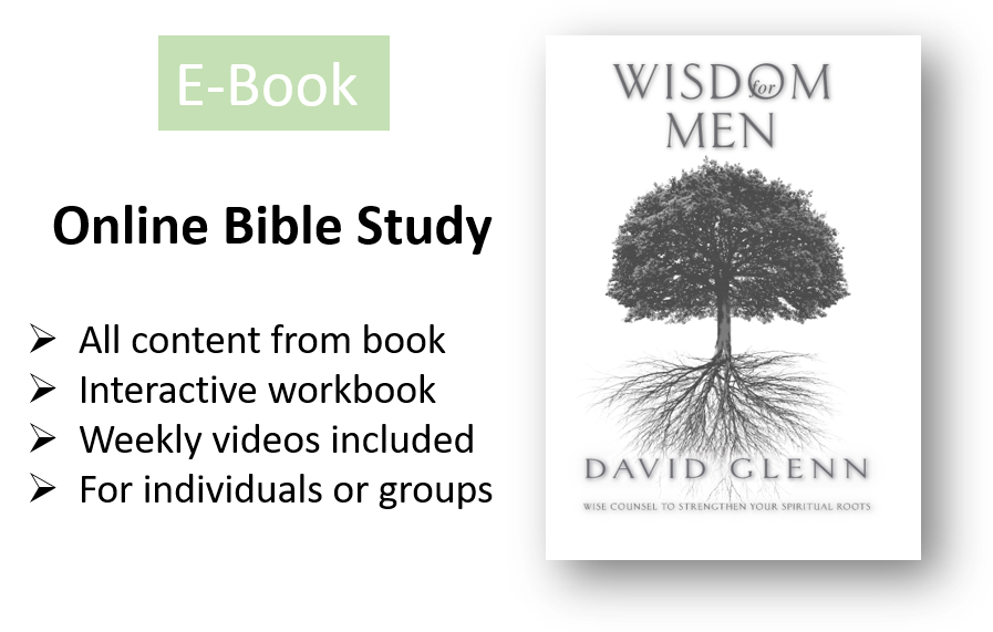 Wisdom for Men ONLINE Bible Study