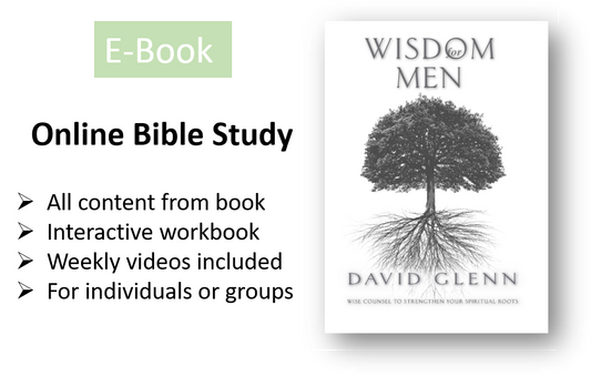 Wisdom for Men ONLINE Bible Study