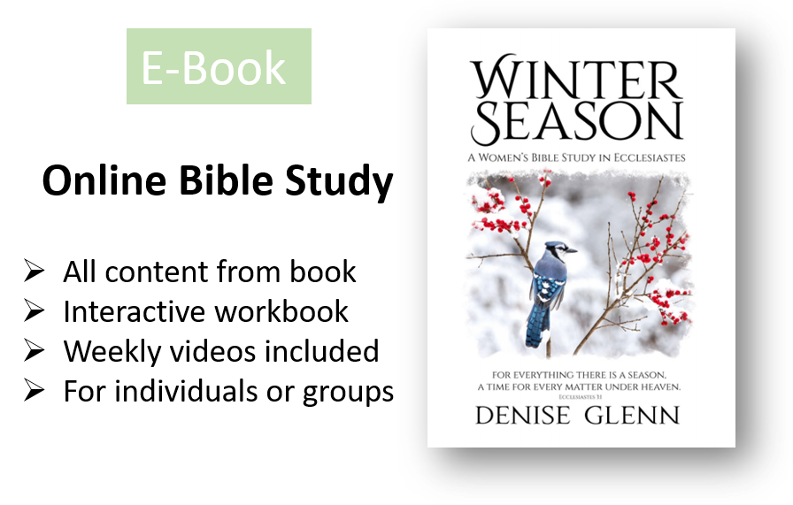 Winter Season for Women ONLINE Bible Study