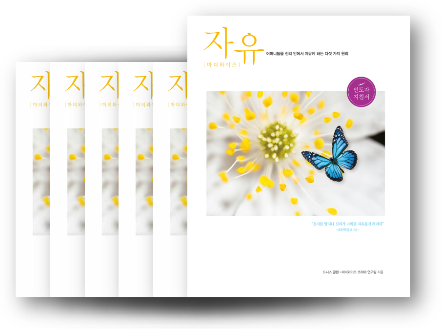 Freedom for Mothers Small Group Kit (Korean)