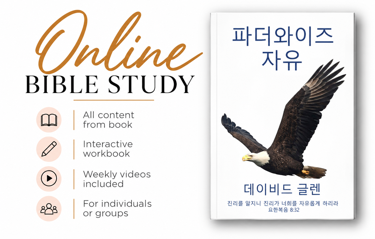 FatherWise Freedom (Korean) 파더와이즈 자유 교재 ONLINE Bible Study