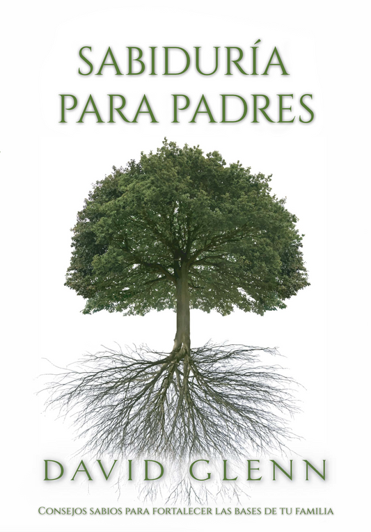 Wisdom for Fathers Workbook (Spanish): Sabiduría para Padres