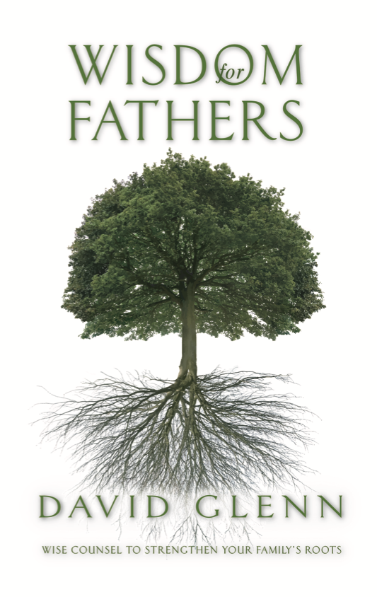 Wisdom For Fathers Video Links